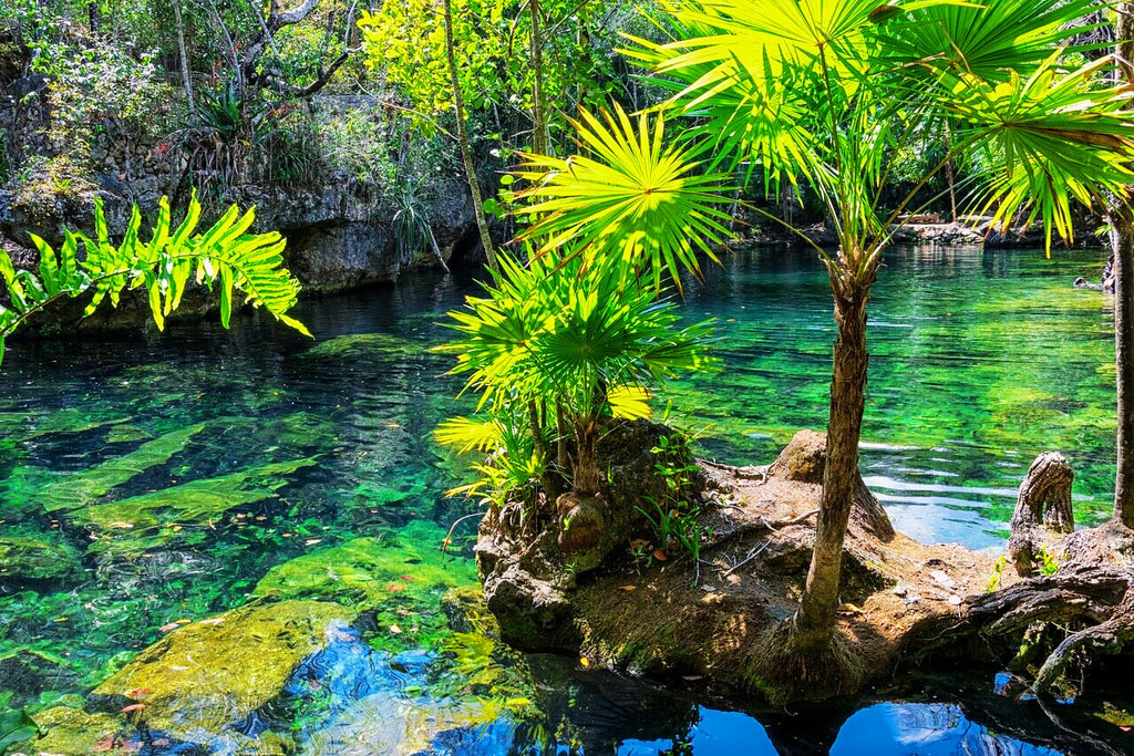 Cenote en la Ruta de los Cenotes